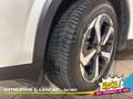 Nissan Qashqai 1.3 Hybrid N-Connecta 2wd 158cv Xtronic AUTOMATICA Bianco - thumbnail 15