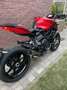 MV Agusta Brutale 800 Rosso Rojo - thumbnail 3