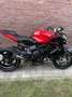 MV Agusta Brutale 800 Rosso Rojo - thumbnail 6