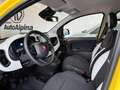 Fiat Panda PANDINA CROSS 1.0 70cv Hybrid CON ROTTAMAZIONE Nero - thumbnail 13