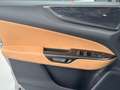 Lexus NX 350h Overtrail 4WD - thumbnail 19