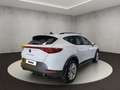 CUPRA Formentor . Blanc - thumbnail 5