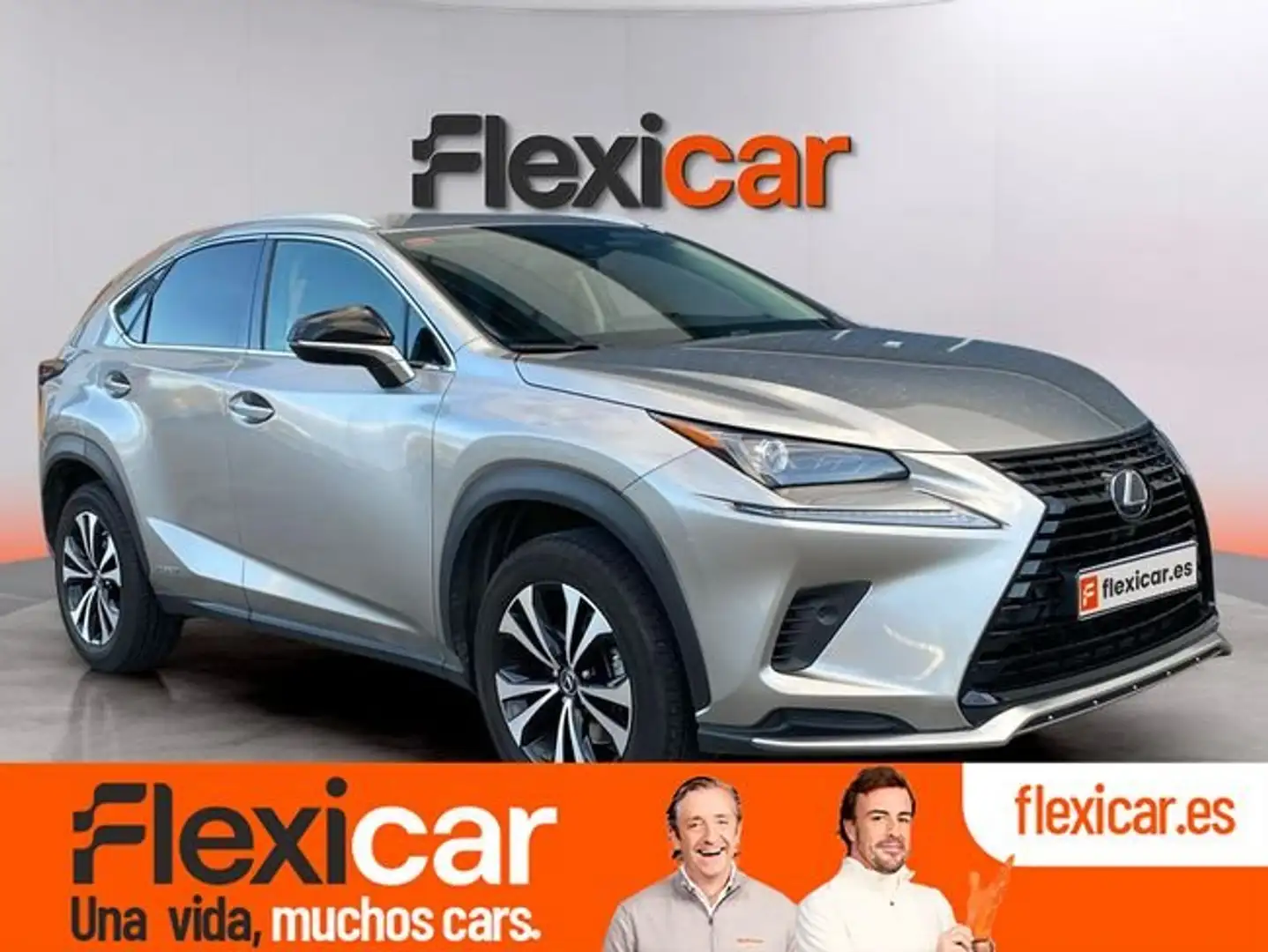 Lexus NX 300 300h Premium 2WD Gris - 1
