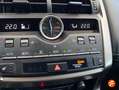 Lexus NX 300 300h Premium 2WD Gris - thumbnail 24