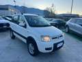 Fiat Panda 1.3 mjt 16v Climbing 4x4 75cv Bianco - thumbnail 2