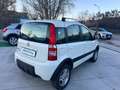 Fiat Panda 1.3 mjt 16v Climbing 4x4 75cv Bianco - thumbnail 3