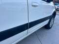 Fiat Panda 1.3 mjt 16v Climbing 4x4 75cv Bianco - thumbnail 12