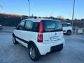 Fiat Panda 1.3 mjt 16v Climbing 4x4 75cv Bianco - thumbnail 8