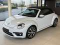 Volkswagen Beetle Cabriolet 2.0 TDI Allstar -150 PK **DSG AUTOMAAT** Blanco - thumbnail 19