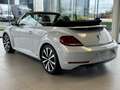 Volkswagen Beetle Cabriolet 2.0 TDI Allstar -150 PK **DSG AUTOMAAT** Biały - thumbnail 3