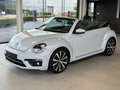 Volkswagen Beetle Cabriolet 2.0 TDI Allstar -150 PK **DSG AUTOMAAT** Biały - thumbnail 2