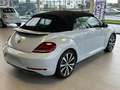 Volkswagen Beetle Cabriolet 2.0 TDI Allstar -150 PK **DSG AUTOMAAT** Blanco - thumbnail 20