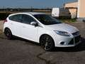 Ford Focus Trend 1,6 I Weiß - thumbnail 3