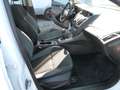 Ford Focus Trend 1,6 I Weiß - thumbnail 13