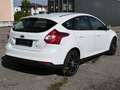 Ford Focus Trend 1,6 I Weiß - thumbnail 5