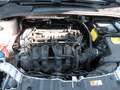 Ford Focus Trend 1,6 I Weiß - thumbnail 20
