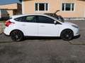 Ford Focus Trend 1,6 I Weiß - thumbnail 4