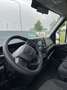 Iveco Daily 35S18H 3.0 410 - ISO BOX & LAADKLEP Wit - thumbnail 8