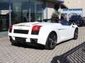 Lamborghini Gallardo Spyder 5.0 V10 520 CV Wit - thumbnail 6