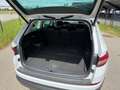 Skoda Kodiaq 2.0 TDI SCR 4x4 Aut. *7-Sitze*Voll*AHK*LED* Weiß - thumbnail 18
