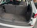 Skoda Kodiaq 2.0 TDI SCR 4x4 Aut. *7-Sitze*Voll*AHK*LED* Weiß - thumbnail 19
