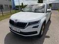 Skoda Kodiaq 2.0 TDI SCR 4x4 Aut. *7-Sitze*Voll*AHK*LED* Weiß - thumbnail 13