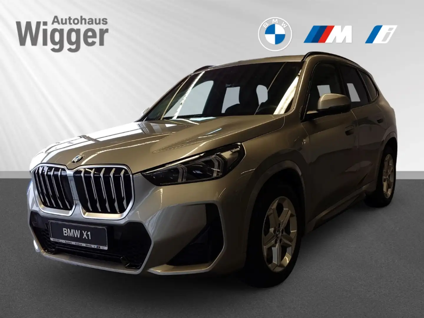 BMW X1 20i,sDrive,M-Paket,PGD,HK-Sound,aLED Silber - 1