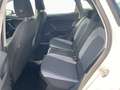 SEAT Ibiza 1.0 TSI Style Klima Sitzheizung PDC hinten Weiß - thumbnail 14