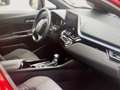 Toyota C-HR C-HR I 2020 2.0h More Business e-cvt Rosso - thumbnail 5