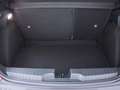 Fiat Grande Panda Icon, Autom. PDC,Navi,SHZ,Carplay (NW 65) Rood - thumbnail 19