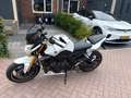 Yamaha FZ 8 Alb - thumbnail 8