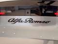 Alfa Romeo Junior 1.2 ibrida Speciale 145cv edct6 Km Zero Nazionale Grigio - thumbnail 26