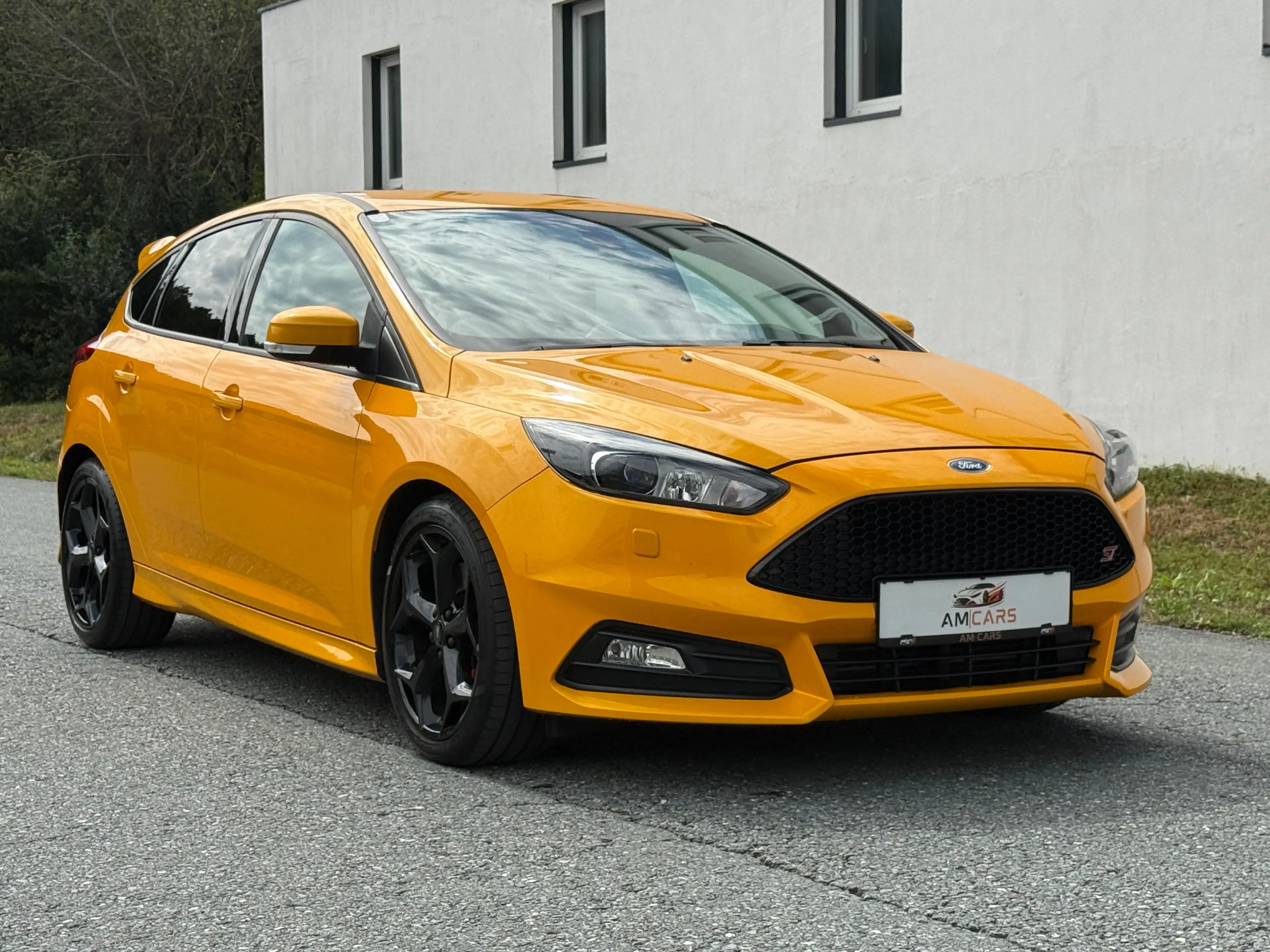 Ford Focus ST 2,0 — photo 6