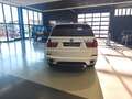 BMW X5 xDrive30d HeadUp PANO Soft-Close HiFi  360° Weiß - thumbnail 4