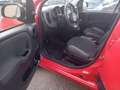 Fiat Panda EURO 6 METANO PERFETTA DI MOTORE E DI MECCANICA Rouge - thumbnail 9