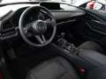 Mazda CX-30 Exclusive-Line e-SKYACTIV-G M-Hybrid A Sports Util Rosso - thumbnail 6