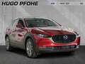 Mazda CX-30 Exclusive-Line e-SKYACTIV-G M-Hybrid A Sports Util Rouge - thumbnail 1