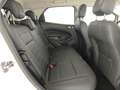 Ford EcoSport 1.0 EcoBoost 125 CV Start&Stop Active Blanc - thumbnail 15