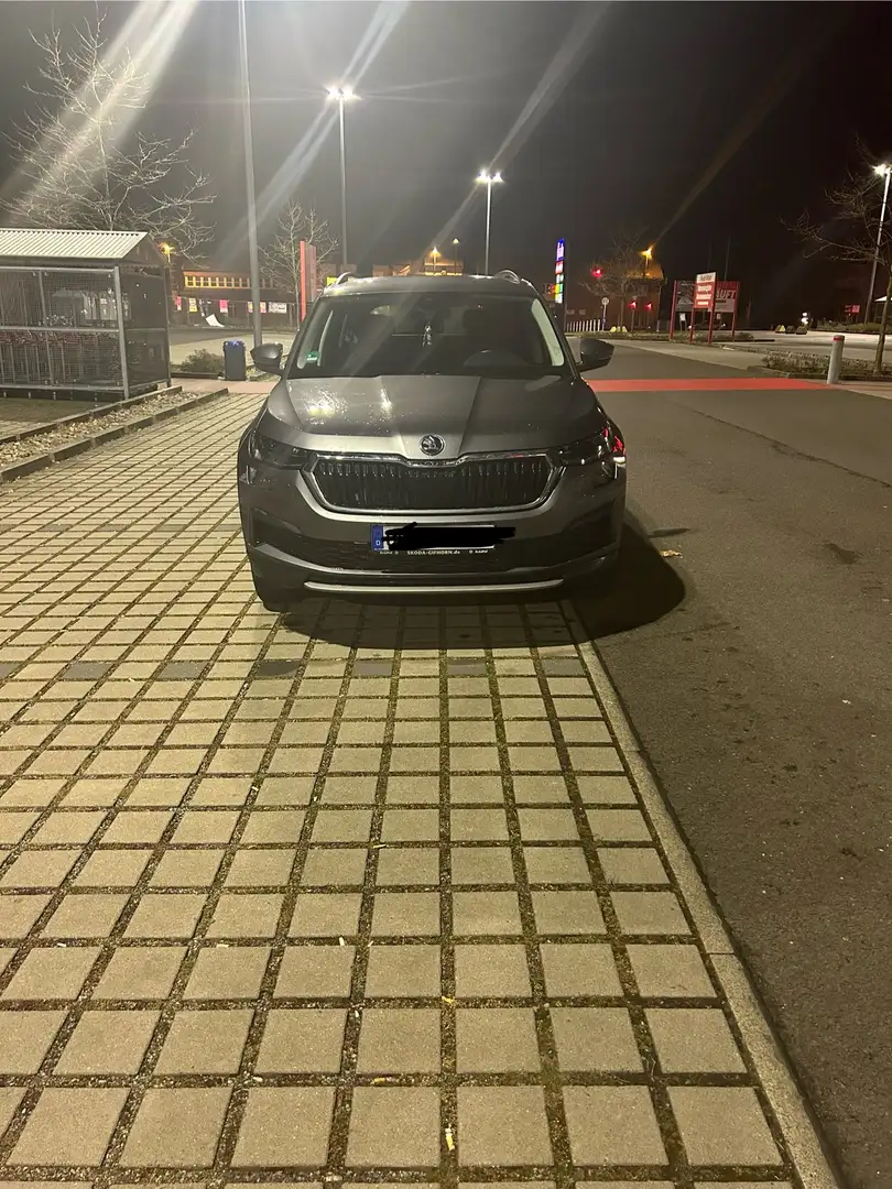 Skoda Kodiaq Tour Grau - 2