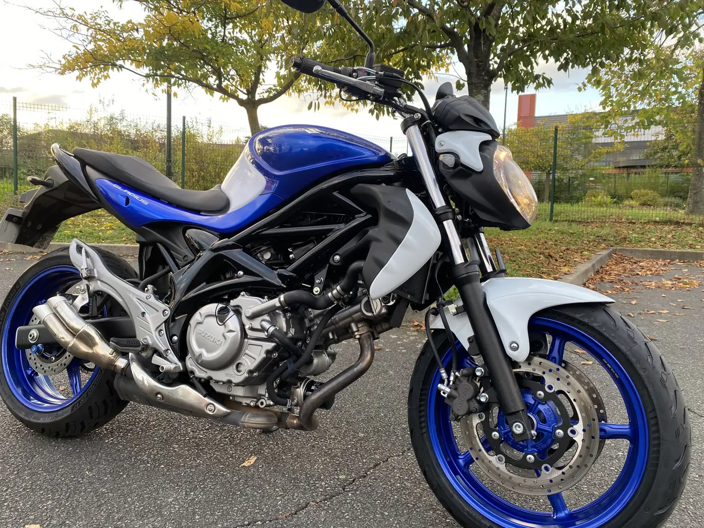 Suzuki Gladius 650 - 1