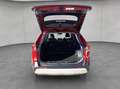 Toyota RAV 4 2.5 4x4 Hybrid Adventure Rojo - thumbnail 5