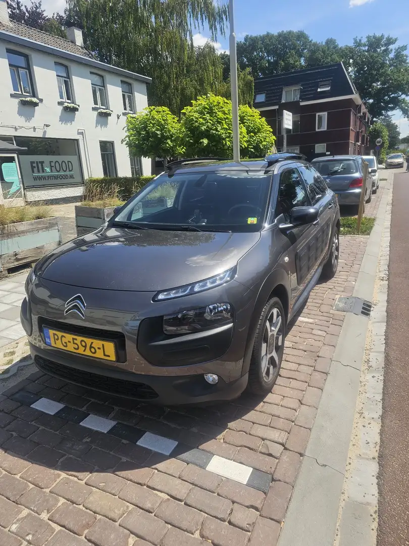 Citroen C4 Cactus 1.2 PureTech Shine Grijs - 2