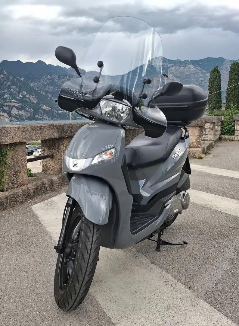 Peugeot Tweet 2023 Grey - 1