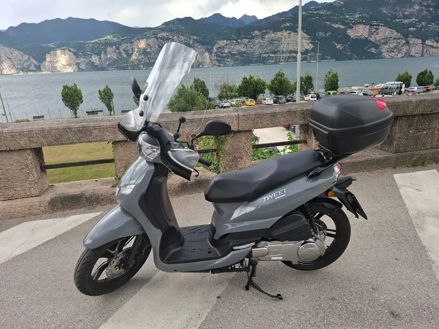 Peugeot Tweet 2023 Сірий - 2