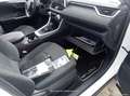 Toyota RAV 4 RAV4 2.5l 220H Business - thumbnail 15