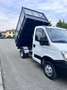 Iveco Daily iveco daily 35C10 ribaltabile trilaterale c - thumbnail 7