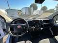 Fiat Ducato 35 2.3 mjt 140CV LH2 +iva Bianco - thumbnail 11