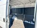 Fiat Ducato 35 2.3 mjt 140CV LH2 +iva Bianco - thumbnail 9