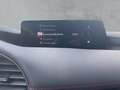 Mazda 3 Homura / Alexa / Navi / LED / RFK / IACC Gris - thumbnail 16