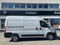 Fiat Ducato 35 L2H2 140 netto € 29.150,- bijela - thumbnail 2